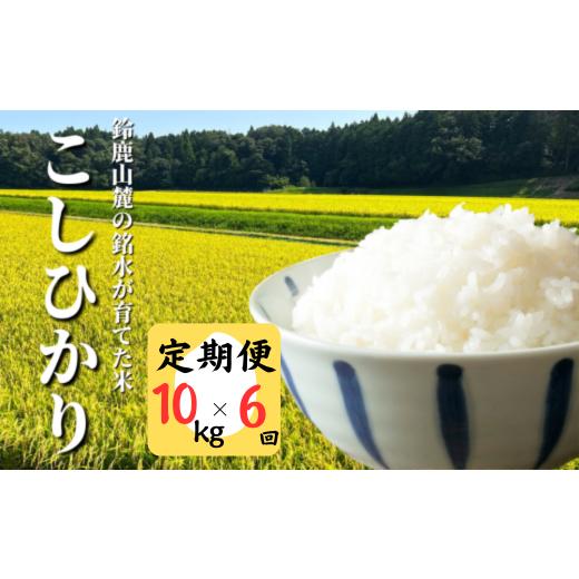 ふるさと納税 米 コシヒカリ 三重県 四日市市 定期便 令和7年度先行予約 こしひかり 10kg ...