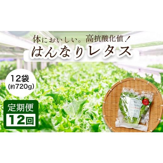 ふるさと納税 京都府 舞鶴市 【 定期便 】 みらい乃野菜 はんなりレタス 12袋 720g 12回...