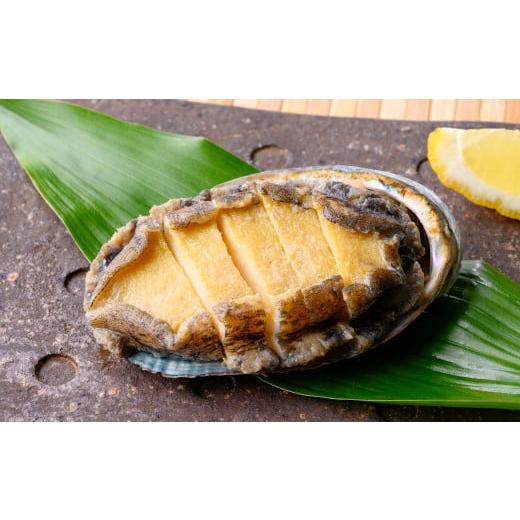 ふるさと納税 魚貝類 アワビ 三重県 紀北町 不老不死徐福アワビ伝説 美食家王道〈あわびステーキ〉 ...