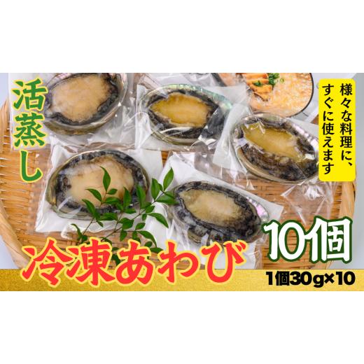 ふるさと納税 魚貝類 アワビ 三重県 紀北町 不老不死徐福アワビ伝説 目指せ、あわびシェフ〈10個〉...