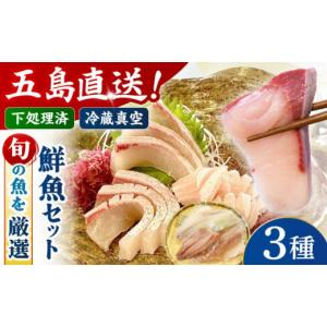 ふるさと納税 旬の鮮魚等 長崎県 五島市 冷蔵...の詳細画像1