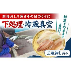 ふるさと納税 旬の鮮魚等 長崎県 五島市 冷蔵...の詳細画像2