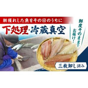 ふるさと納税 旬の鮮魚等 長崎県 五島市 冷蔵...の詳細画像2
