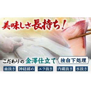 ふるさと納税 旬の鮮魚等 長崎県 五島市 冷蔵...の詳細画像3