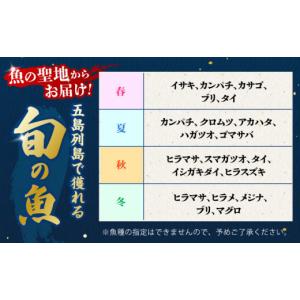 ふるさと納税 旬の鮮魚等 長崎県 五島市 冷蔵...の詳細画像5