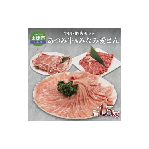 ふるさと納税 愛知県 田原市 あつみ牛 みなみ愛とん 牛肉豚肉セット 牛肉 ビーフ 豚肉 ポーク ロ...