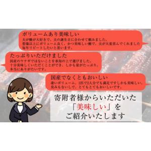 ふるさと納税 うなぎ 福岡県 須恵町 土用の丑...の詳細画像5