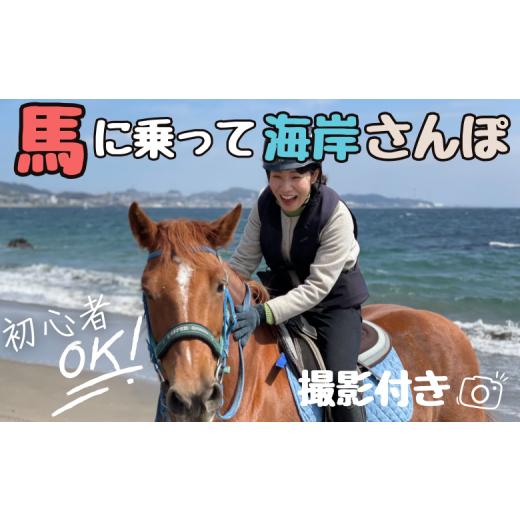 ふるさと納税 神奈川県 三浦市 B84-001 馬と風光明媚な三浦の街と海岸で過ごす　馬に乗って三浦...