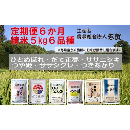 ふるさと納税 宮城県 岩沼市 食べ比べ！【6ヶ月定期便】宮城県岩沼市産のお米 5kg サブスク　 [...