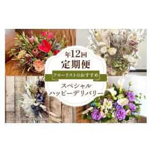 ふるさと納税 花・苗木 花束 千葉県 印西市 フローリストのおすすめ スペシャルハッピーデリバリー 定期便 年12回｜花 フラワー ギフト プレゼント 記念 お祝…