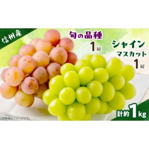 ふるさと納税 ぶどう マスカット 長野県 高山...の詳細画像1