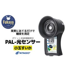 ふるさと納税 電化製品 埼玉県 深谷市 ポケット非破壊糖度計 PAL-光センサー33 MINi（小玉すいか）　 11218-0724