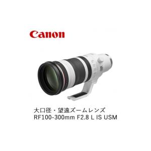 ふるさと納税 TV・オーディオ・カメラ 栃木県 宇都宮市 Canon 大口径・望遠ズームレンズ RF100-300mm F2.8 L IS USM ｜ キヤノン Canon 交換 カメラ レンズ 一…