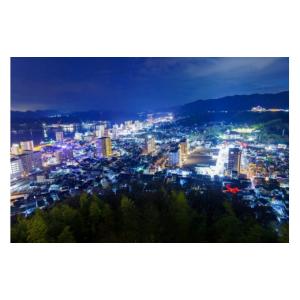 ふるさと納税 TV・オーディオ・カメラ 栃木県...の詳細画像2