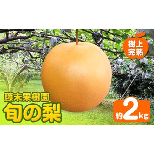 ふるさと納税 梨 熊本県 荒尾市  2026年先行予約 梨 旬の梨 約 2kg 藤末果樹園 熊本県荒...