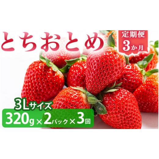ふるさと納税 いちご 栃木県 壬生町  いちご3か月定期便 栃木県産とちおとめ 320g×2パック ...
