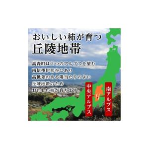 ふるさと納税 果物類 柿 長野県 高森町 長野...の詳細画像5