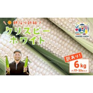 ふるさと納税 とうもろこし 茨城県 下妻市  先行予約 訳あり 下妻産朝採りとうもろこし（クリスピーホワイト）約6kg 2025年7月上旬〜7月中旬ころ順次発送予定 …