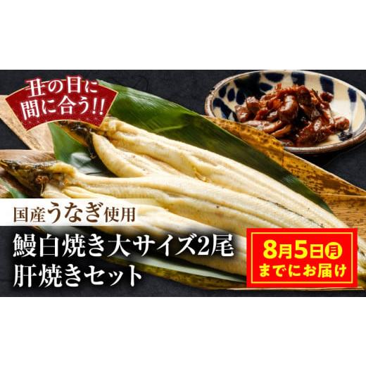 ふるさと納税 宮崎県 宮崎市 【丑の日(8月5日)までにお届け】国産うなぎ使用　鰻白焼き　大サイズ（...