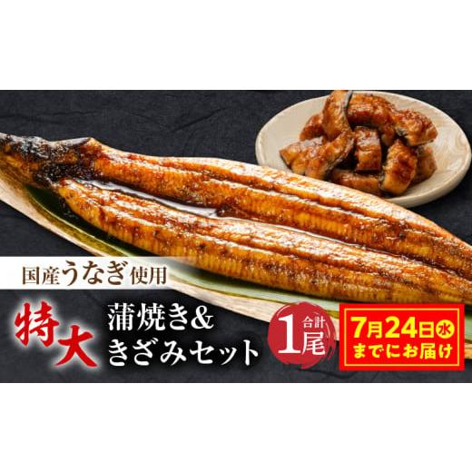 ふるさと納税 宮崎県 宮崎市 【丑の日(7月24日)までにお届け】国産うなぎ蒲焼き特大サイズ(181...