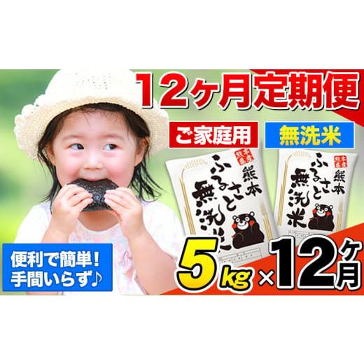 ふるさと納税 無洗米 熊本県 御船町  12ヶ月定期便 無洗米 定期便《1月から出荷開始》 熊本ふる...
