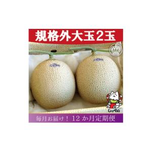 ふるさと納税 メロン メロン青肉 静岡県 磐田...の詳細画像1