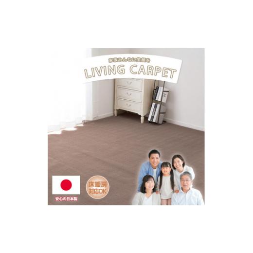 ふるさと納税 雑貨・日用品 大阪府 和泉市  江戸間3畳 ベーシックカラーリビングカーペット ブラウ...