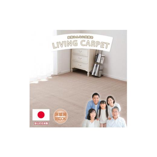 ふるさと納税 雑貨・日用品 大阪府 和泉市  江戸間3畳 ベーシックカラーリビングカーペット ベージ...