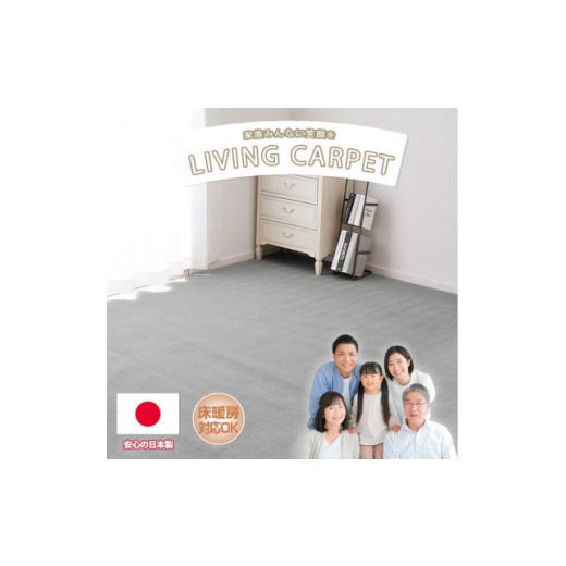 ふるさと納税 雑貨・日用品 大阪府 和泉市  江戸間4.5畳 ベーシックカラーリビングカーペットグレ...