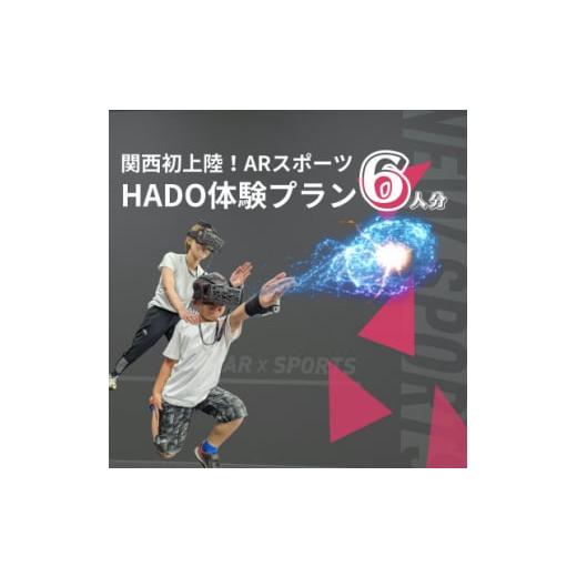 ふるさと納税 大阪府 和泉市 HADO体験会(60分) チケット 6人分　エコール・いずみ 大阪【1...