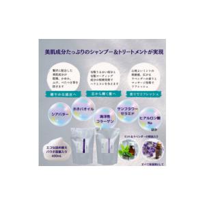 ふるさと納税 美容 大阪府 和泉市 毎月定期便...の詳細画像3