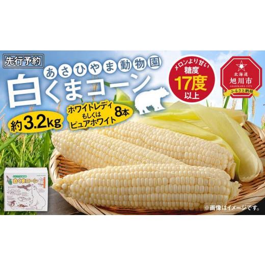 ふるさと納税 北海道 旭川市 【先行予約】　あさひやま動物園しろくまコーン　約3.2kg(ホワイトレ...