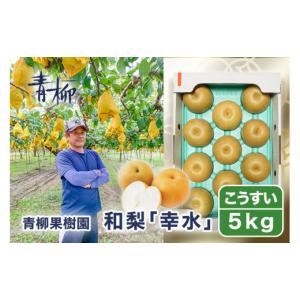 ふるさと納税 梨 新潟県 加茂市 2026年先...の詳細画像1