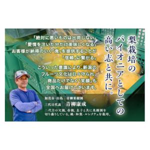 ふるさと納税 梨 新潟県 加茂市 2026年先...の詳細画像5