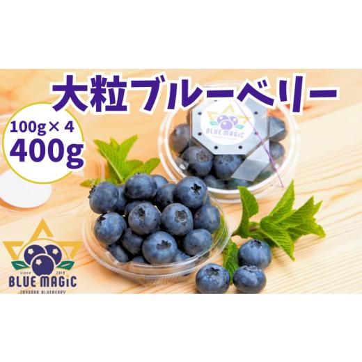 ふるさと納税 千葉県 銚子市 フレッシュ 大粒ブルーベリー 400 ｇ（100g×４パック） ブルー...