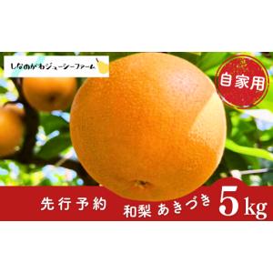ふるさと納税 梨 新潟県 三条市 先行予約 和梨 あきづき 自家用 約5kg 令和8年度 新潟県 三条市産 梨 しなのがわジューシーファーム 010S488