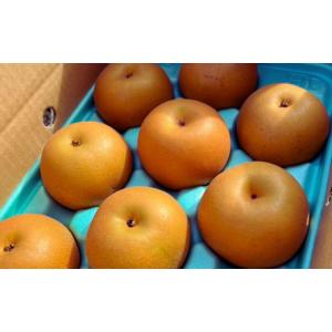 ふるさと納税 梨 新潟県 三条市 先行予約 和...の詳細画像3