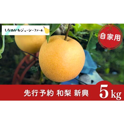 ふるさと納税 梨 新潟県 三条市  2026年産先行予約 和梨 新興 自家用 約5kg 令和8年度 ...