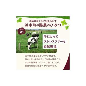 ふるさと納税 菓子 アイス 北海道 浜中町 全...の詳細画像4