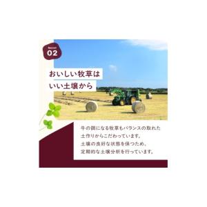 ふるさと納税 菓子 アイス 北海道 浜中町 全...の詳細画像5