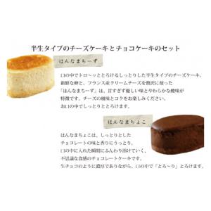 ふるさと納税 ケーキ・カステラ チーズケーキ ...の詳細画像3