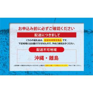 ふるさと納税 炭酸飲料 ソーダ水 静岡県 小山...の詳細画像4