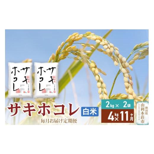 ふるさと納税 秋田県 由利本荘市 《定期便11ヶ月》【白米】令和5年産 サキホコレ4kg(2kg×2...