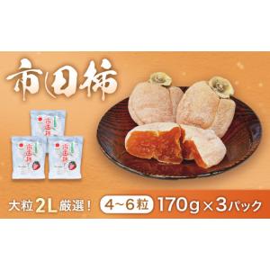 ふるさと納税 果物類 柿 長野県 豊丘村 市田柿 (大粒2Lのみ厳選) 約170g×3パック　 2027年1月〜発送予定 　干し柿｜カキ｜果物｜フルーツ｜長野県産｜南信州