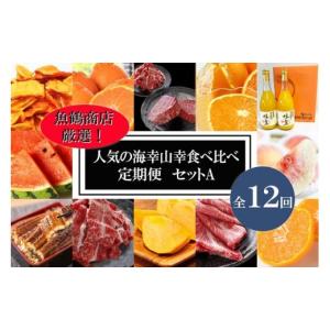ふるさと納税 果物の詰合せ 和歌山県 美浜町 〈毎月定期便〉人気の海幸山幸食べ比べ セットA 定期便全12回 魚鶴厳選