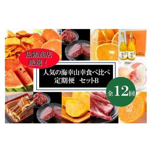 ふるさと納税 果物の詰合せ 和歌山県 美浜町 〈毎月定期便〉人気の海幸山幸食べ比べ セットB 定期便...
