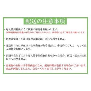 ふるさと納税 果物の詰合せ 和歌山県 美浜町 ...の詳細画像4