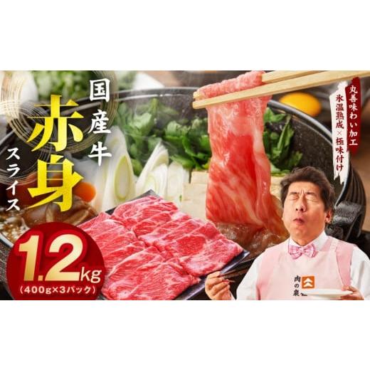 ふるさと納税 牛肉 大阪府 泉佐野市  氷温熟成×極味付け 国産 牛肉 赤身スライス（うで もも）1...