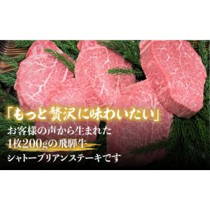 ふるさと納税 牛肉 ヒレ 岐阜県 飛騨市 決済...の詳細画像2