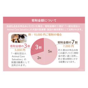 ふるさと納税 生き物 福岡県 筑紫野市 愛護支...の詳細画像3